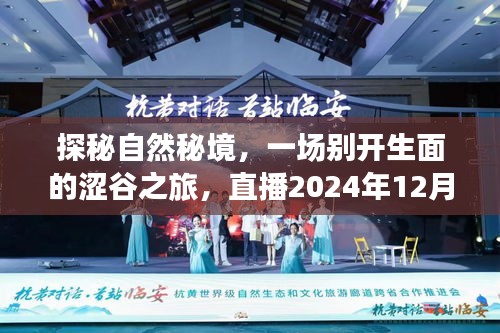 探秘自然秘境，澀谷之旅直播揭秘寧靜時(shí)光（2024年12月18日）