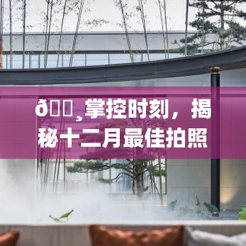 揭秘十二月最佳拍照監控軟件，掌控時刻，體驗科技巨擘革新魅力