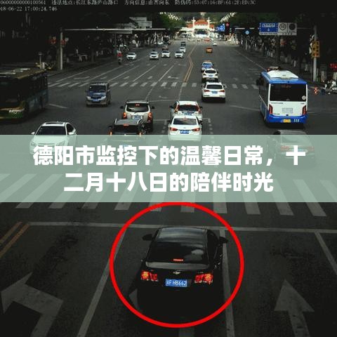 德陽市溫馨日常監控下的陪伴時光——十二月十八日的記錄