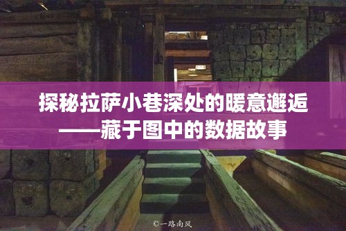 探秘拉薩小巷深處的暖意邅，數據背后的故事