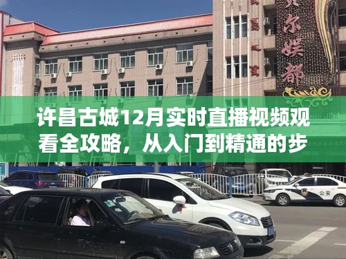 許昌古城12月直播觀看全攻略，從入門到精通的指南