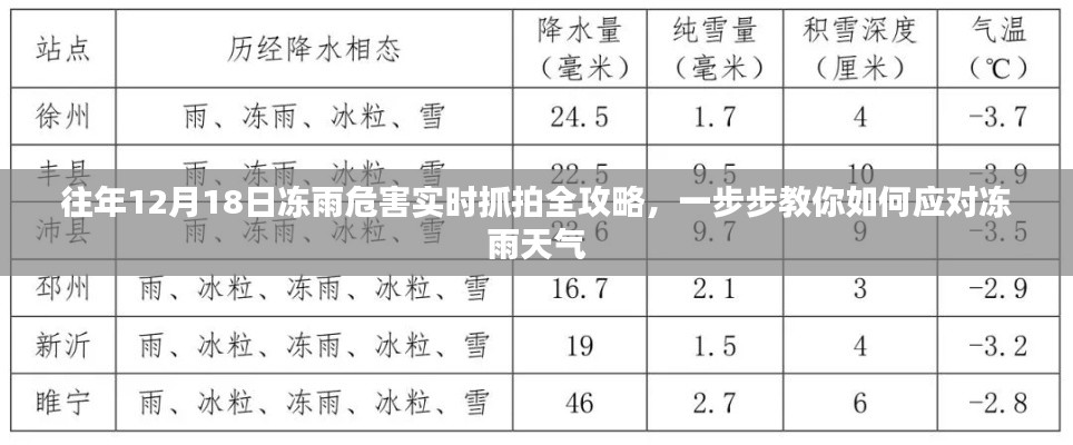 應對凍雨天氣的全攻略，實時抓拍往年凍雨危害，教你如何應對凍雨天氣挑戰