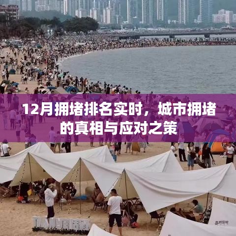 城市擁堵真相揭秘，實時排名與應對之策