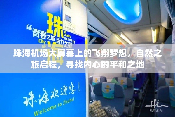 珠海機場大屏幕，啟程自然之旅，追尋內心平和的飛翔夢想