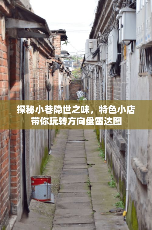 隱世之味探秘，特色小店帶你領略獨特風味與方向盤雷達圖的奇妙之旅