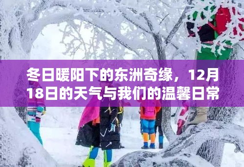 冬日暖陽下的東洲奇緣，溫馨日常的奇緣故事（12月18日天氣）