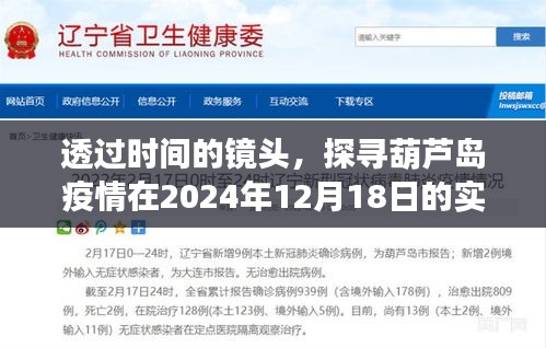 透過時間的鏡頭，葫蘆島疫情實時動態與影響紀實（XXXX年XX月XX日）