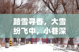 踏雪尋香，攝影秘境探秘小巷深處