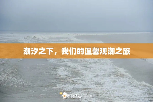 潮汐之下的觀潮之旅，溫馨與海洋的邂逅
