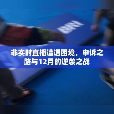 非實時直播面臨困境，申訴之路與逆襲之戰（12月決戰）