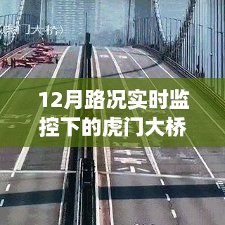 12月路況實時監控下的虎門大橋管理使用心得