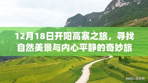 坌鳥先飛