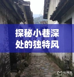 時光巷中的十二月風味，探秘小巷深處的獨特美食小店