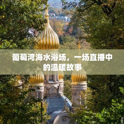 葡萄灣海水浴場，直播中的溫暖之旅