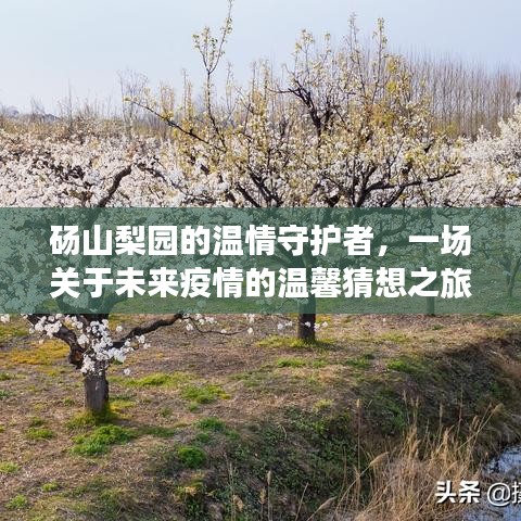 碭山梨園的溫情守護者，未來疫情的溫馨猜想之旅
