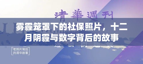 社保照片下的霧霾十二月，數字背后的隱秘故事