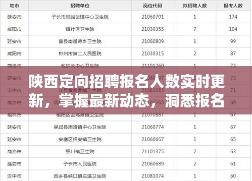陜西定向招聘報名最新動態，實時更新數據揭示報名趨勢（截至12月18日）
