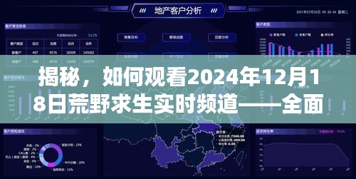 揭秘，觀看荒野求生實時頻道——全面指南（2024年12月18日版）