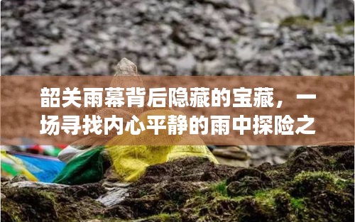 韶關雨幕背后的寶藏，雨中探險之旅探尋內心平靜之道