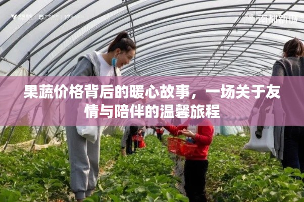 果蔬價格背后的暖心故事，友情與陪伴的溫馨之旅