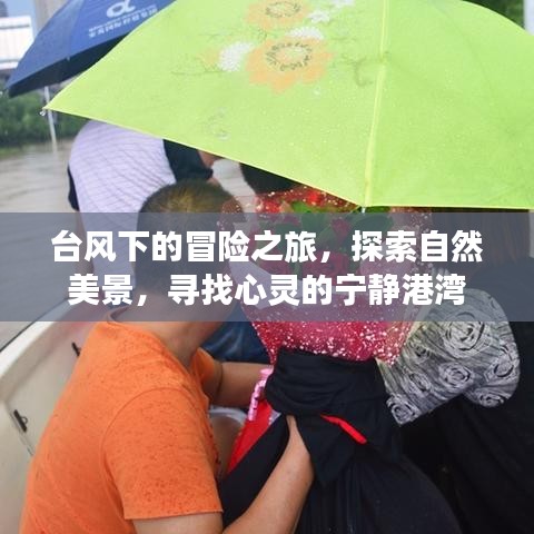 臺風(fēng)下的冒險之旅，探尋自然美景，尋覓心靈寧靜之地