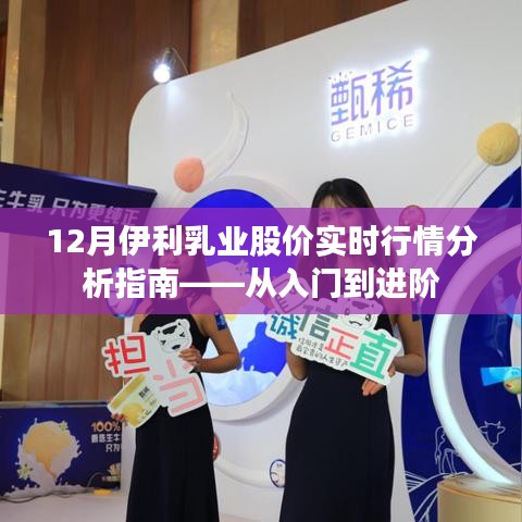 伊利乳業股價實時行情解析，入門到進階指南