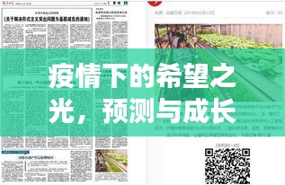 冰清玉潔