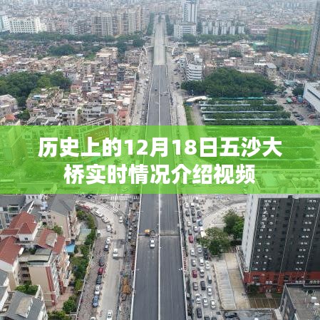 五沙大橋歷史實時情況介紹視頻，揭秘十二月十八日的歷史瞬間