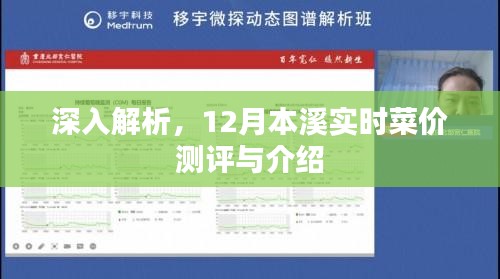12月本溪菜價深度解析與實時測評介紹