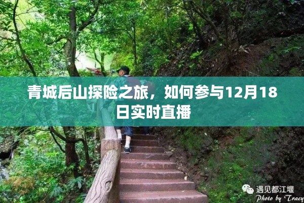 青城后山探險之旅直播實錄，參與12月18日實時直播攻略