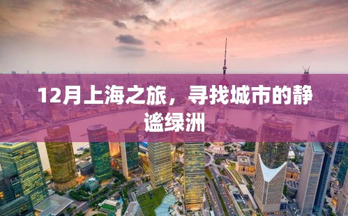 上海靜謐綠洲之旅，探尋城市秘境的十二月記憶