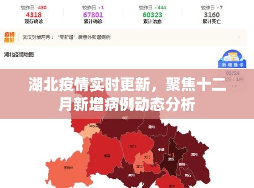 湖北疫情最新動態，十二月新增病例實時分析與更新