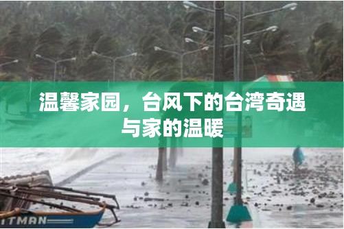 溫馨家園，臺風下的臺灣奇遇與家的溫情