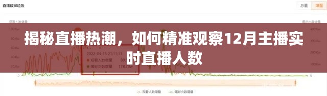 揭秘直播熱潮，如何精準觀察主播實時直播人數（12月篇）