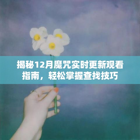 揭秘12月魔咒，最新實時觀看指南與查找技巧全解析