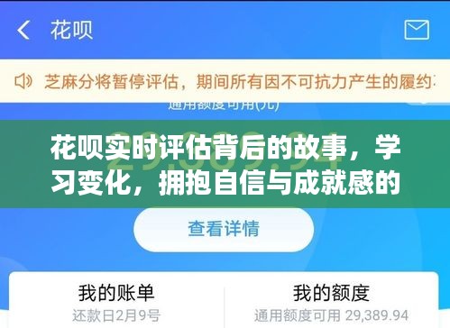 揭秘花唄實時評估背后的故事，自信與成就感的魔法之旅