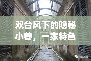 雙臺風影響下的隱秘小巷奇妙之旅，一家特色小店的獨特風情