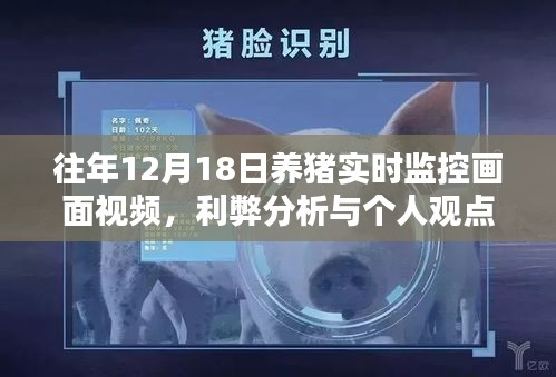 養豬實時監控畫面視頻，利弊分析與個人觀點分享