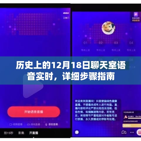 歷史上的語音聊天室，實時體驗與詳細步驟指南