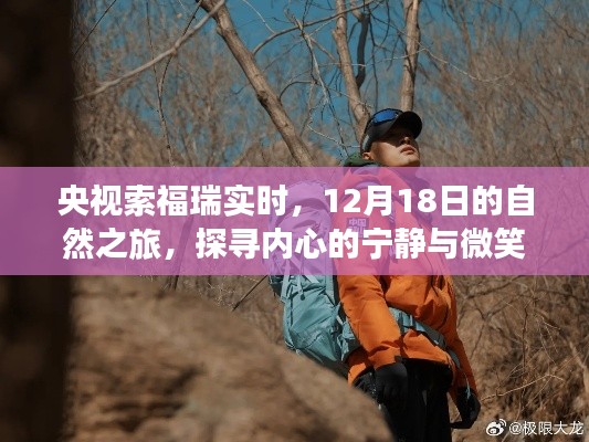 央視索福瑞實時直播，探尋自然之旅中的內心寧靜與微笑（12月18日）