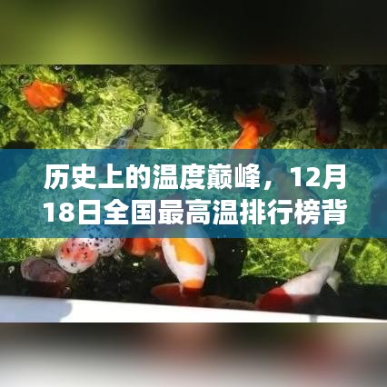滔滔不絕
