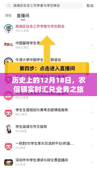 農信銀實時匯兌業務之旅，歷史追溯與心靈探尋的雙重篇章
