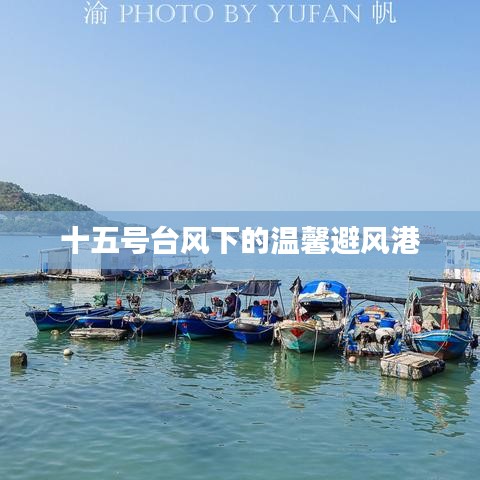 臺風十五號下的避風港溫情滿滿