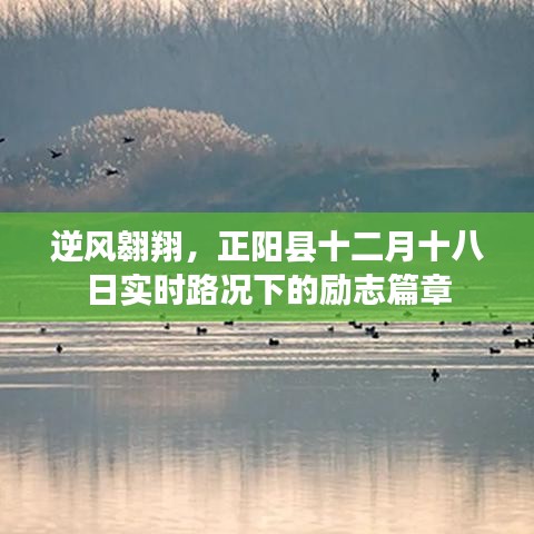 逆風(fēng)翱翔，正陽(yáng)縣十二月十八日路況下的奮斗篇章
