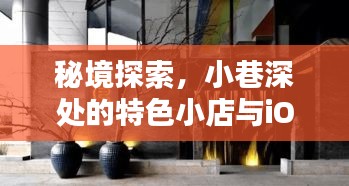 秘境探索揭秘，小巷深處的特色小店與iOS 17實(shí)時幀率的歷史瞬間