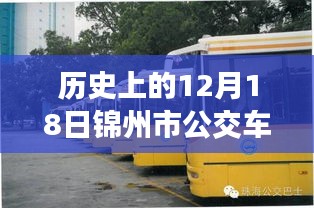 錦州市公交車實時查詢系統的發展與變遷，歷史視角的12月18日回顧