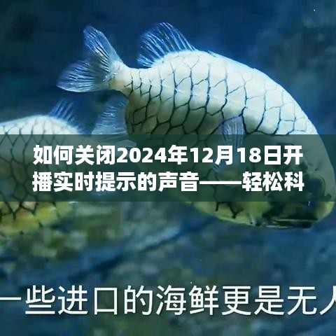 輕松科普，如何關閉未來開播提示聲音（針對2024年12月18日開播）
