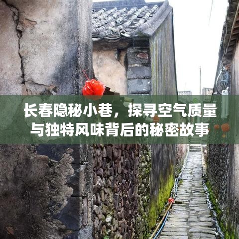 長春隱秘小巷，空氣質量與獨特風味背后的探秘之旅