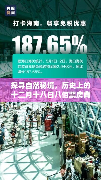 探尋自然秘境，十二月初八佰票房背后的旅行藝術(shù)之旅