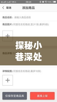 探秘小巷深處特色小店，十二月實時水費賬單余額查詢攻略